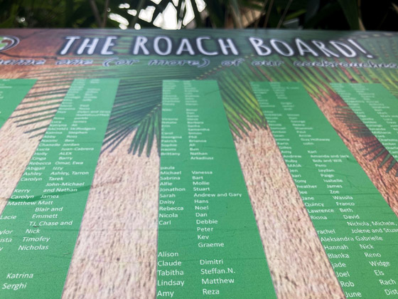 للانتقام منه.. أطلق اسم حبيبك السابق على صرصار بإنكلترا صورة رقم 4