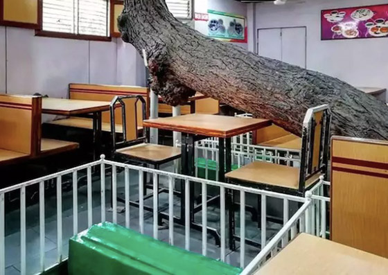 أكثر المطاعم رعباً في العالم صورة رقم 3