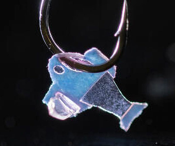 علماء يبتكرون سمكة من مكونات إلكترونية وخلايا قلب بشرية! فيديو وصور صورة رقم 3