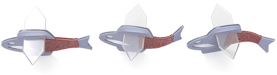 علماء يبتكرون سمكة من مكونات إلكترونية وخلايا قلب بشرية! فيديو وصور صورة رقم 2