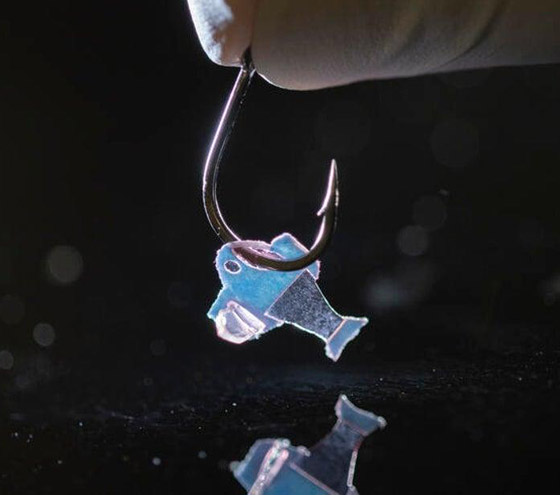 علماء يبتكرون سمكة من مكونات إلكترونية وخلايا قلب بشرية! فيديو وصور صورة رقم 5