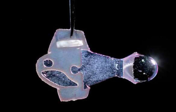 علماء يبتكرون سمكة من مكونات إلكترونية وخلايا قلب بشرية! فيديو وصور صورة رقم 6