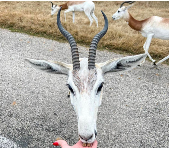 صور غريبة من حول العالم ستجعلك تفكر كثيراً صورة رقم 7