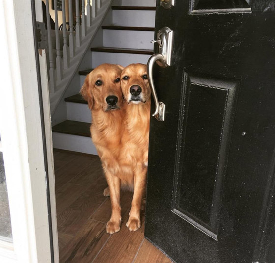 صور غريبة من حول العالم ستجعلك تفكر كثيراً صورة رقم 10