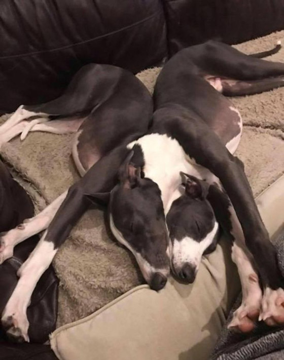 صور غريبة من حول العالم ستجعلك تفكر كثيراً صورة رقم 11