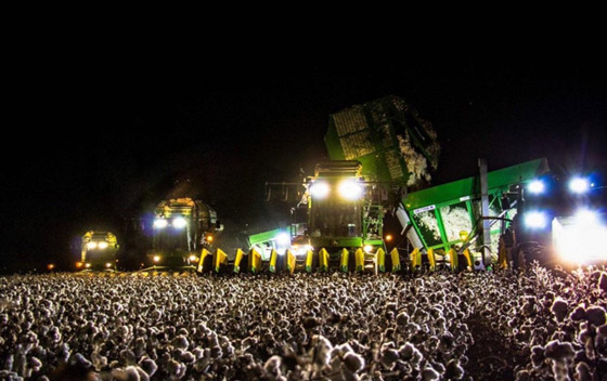 صور غريبة من حول العالم ستجعلك تفكر كثيراً صورة رقم 13