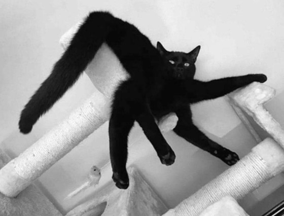 صور غريبة من حول العالم ستجعلك تفكر كثيراً صورة رقم 14