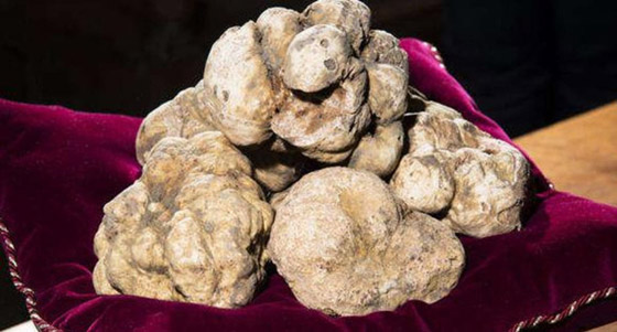 أغلى 10 أطعمة في العالم صورة رقم 9