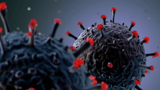 هل كانت الإنفلونزا الروسية الغامضة التي تفشت قبل 133 عاما فيروس كورونا؟ صورة رقم 3