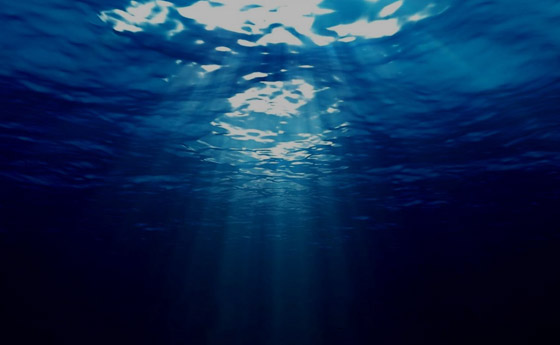 أصوات حيوانية غامضة في أعماق البحار تثير حيرة العلماء! صورة رقم 6