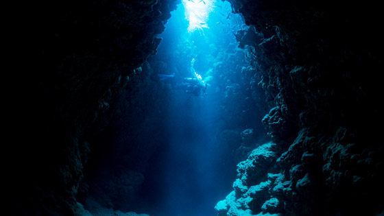 أصوات حيوانية غامضة في أعماق البحار تثير حيرة العلماء! صورة رقم 3