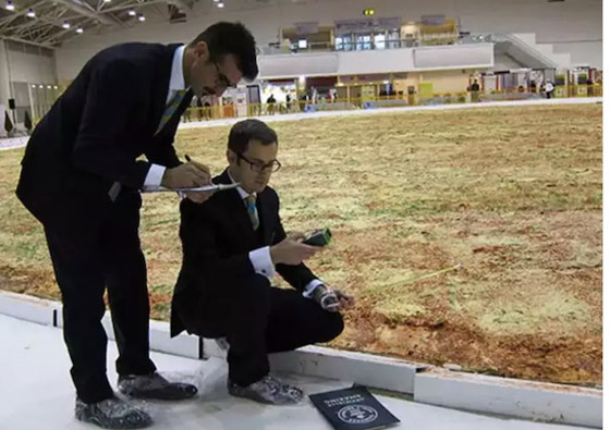 أكبر الأطعمة في العالم التي دخلت موسوعة غينيس صورة رقم 5