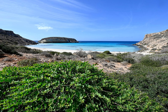 بالصور: تعرفوا إلى أفضل 10 شواطئ في العالم لعام 2022 صورة رقم 10