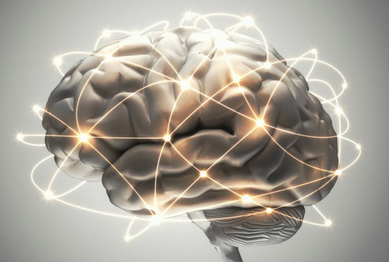 سر بـ30 ثانية.. خطأ قد يفك لغز نشاط للدماغ بعد الموت! صورة رقم 1