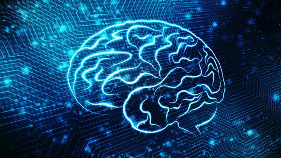 سر بـ30 ثانية.. خطأ قد يفك لغز نشاط للدماغ بعد الموت! صورة رقم 5