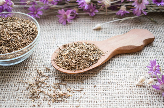 تهدئ الأعصاب وتعزز النوم.. إليكم فوائد عشبة الناردين تهدئ الأعصاب وتعزز النوم.. إليكم فوائد عشبة الناردين