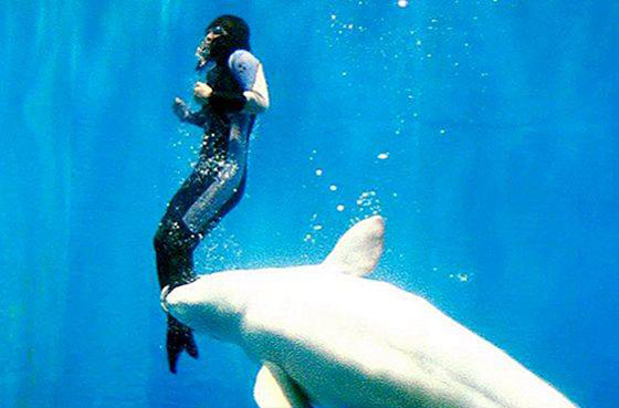  قصص رائعة لحيوانات مختلفة أنقذت البشر في مواقف خطيرة صورة رقم 2