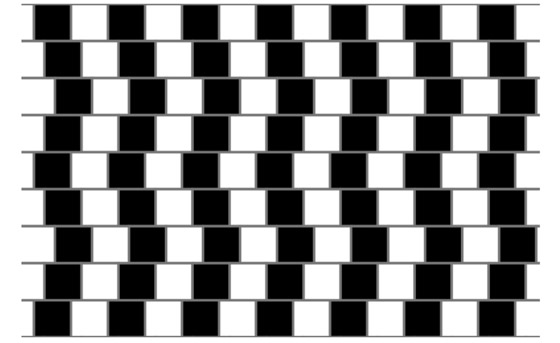 اختبر عقلك وتركيزك.. حاول الإجابة على هذه الخدع البصرية صورة رقم 2