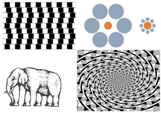 اختبر عقلك وتركيزك.. حاول الإجابة على هذه الخدع البصرية صورة رقم 5