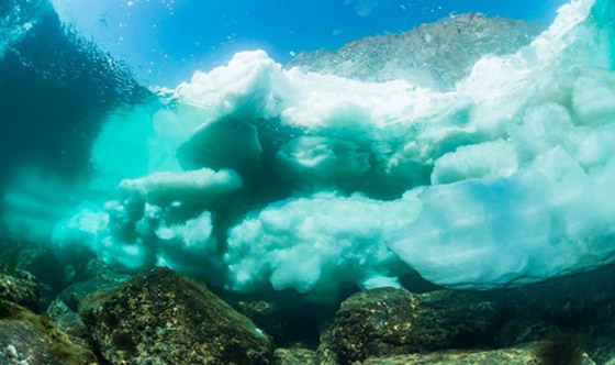 اليابان.. وجهة مثالية لعشاق الغوص صورة رقم 2