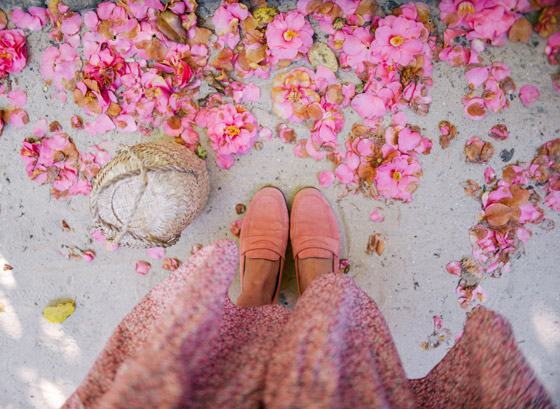 تعرفوا إلى أهم نصائح السفر في فصل الربيع صورة رقم 8