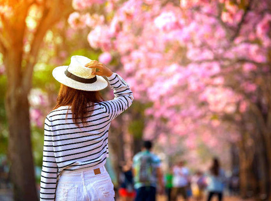 تعرفوا إلى أهم نصائح السفر في فصل الربيع صورة رقم 4