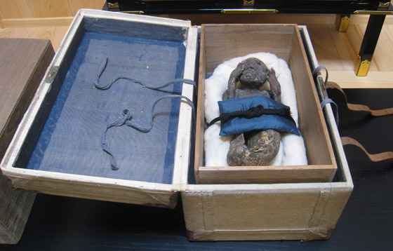 لغز حورية البحر ذات الـ300 عام بوجه بشري وذيل سمكة باليابان! صور صورة رقم 2