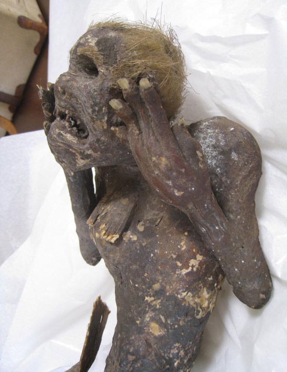 لغز حورية البحر ذات الـ300 عام بوجه بشري وذيل سمكة باليابان! صور صورة رقم 7