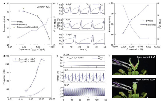 خطوة علمية كبيرة نحو دمج أجهزة الكمبيوتر والكائنات الحية! صورة رقم 3