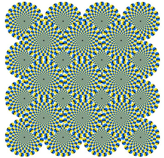 اختبر قوة تركيزك.. حدد عدد الدوائر الثابتة والمتحركة..! صورة رقم 1