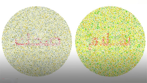 اختبر قوة ملاحظتك.. ما الكلمات المخفية في الدوائر المزركشة؟ صورة رقم 1