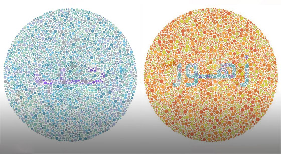 اختبر قوة ملاحظتك.. ما الكلمات المخفية في الدوائر المزركشة؟ صورة رقم 2