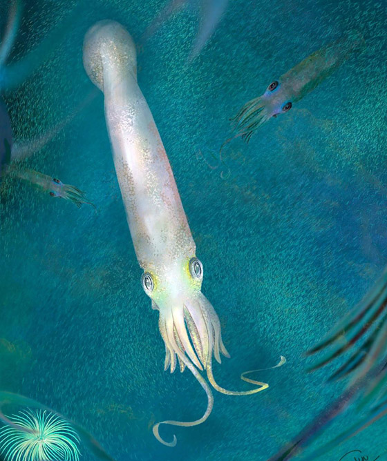 أحفورة عمرها 328 مليون سنة تكشف 