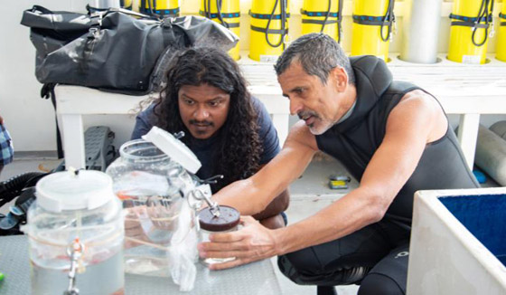 العلماء يعثرون على سمكة 