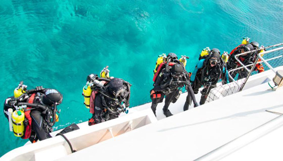 العلماء يعثرون على سمكة 