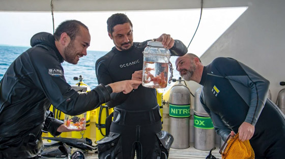 العلماء يعثرون على سمكة 