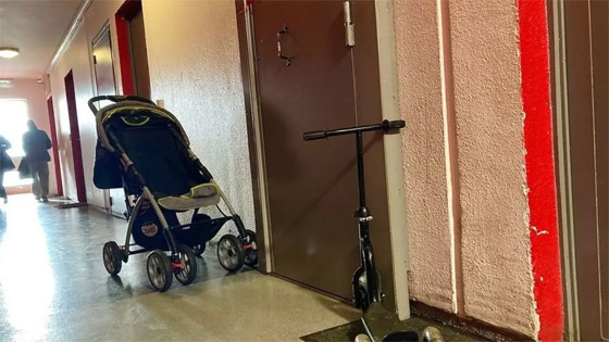 5 جثث متحللة داخل شقة.. أم قتلت أطفالها وانتحرت! صورة رقم 1 5 جثث متحللة داخل شقة.. أم قتلت أطفالها وانتحرت! صورة رقم 1