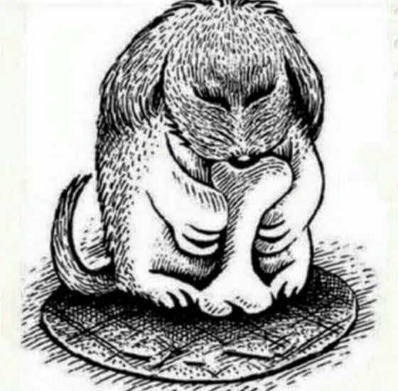 اختبر نظرك.. هل ترى حيوانا في هذه الصورة؟ ما هو؟ صورة رقم 2