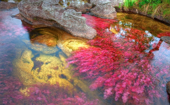 عجائب الطبيعة: بالصور 10 أماكن فاتنة صورة رقم 10 عجائب الطبيعة: بالصور 10 أماكن فاتنة صورة رقم 10