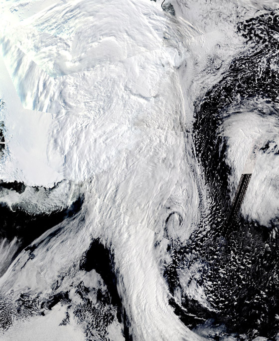 تغير يثير دهشة العلماء: القطب الجنوبي أدفأ 40 درجة لأول مرة بتاريخه! صورة رقم 10