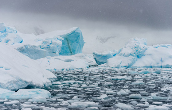 تغير يثير دهشة العلماء: القطب الجنوبي أدفأ 40 درجة لأول مرة بتاريخه! صورة رقم 6