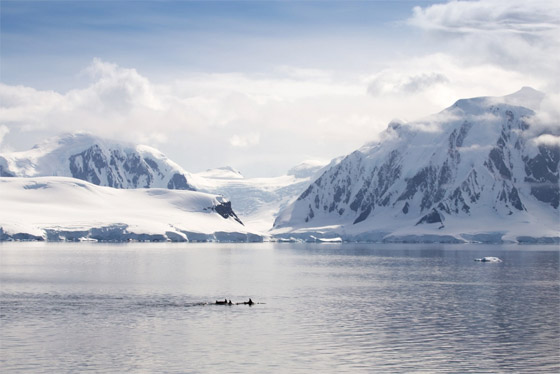 تغير يثير دهشة العلماء: القطب الجنوبي أدفأ 40 درجة لأول مرة بتاريخه! صورة رقم 1