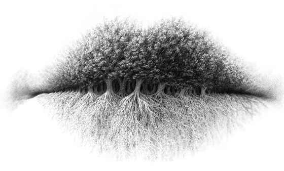 اكشف عما بداخلك.. ماذا ترى لأول وهلة في هذه الصورة؟ صورة رقم 1