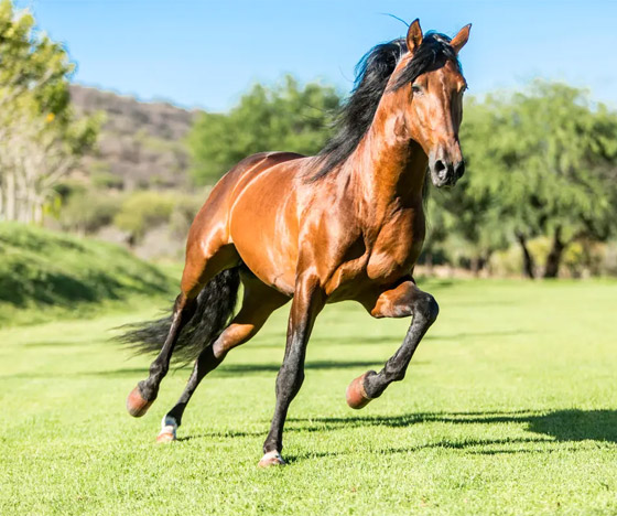 اختبر قوة ملاحظتك.. كم عدد الكائنات التي تراها في هذه الصورة؟ صورة رقم 8