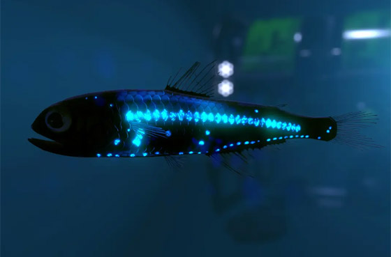 اختبر قوة ملاحظتك.. كم عدد الكائنات التي تراها في هذه الصورة؟ صورة رقم 9