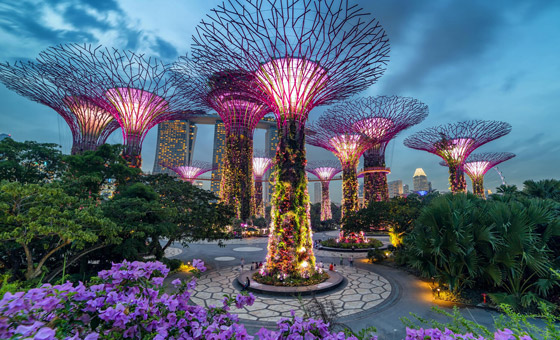 بالصور: جولات ربيعية في 3 حدائق سياحية مزهرة صورة رقم 2