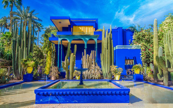 بالصور: جولات ربيعية في 3 حدائق سياحية مزهرة صورة رقم 3