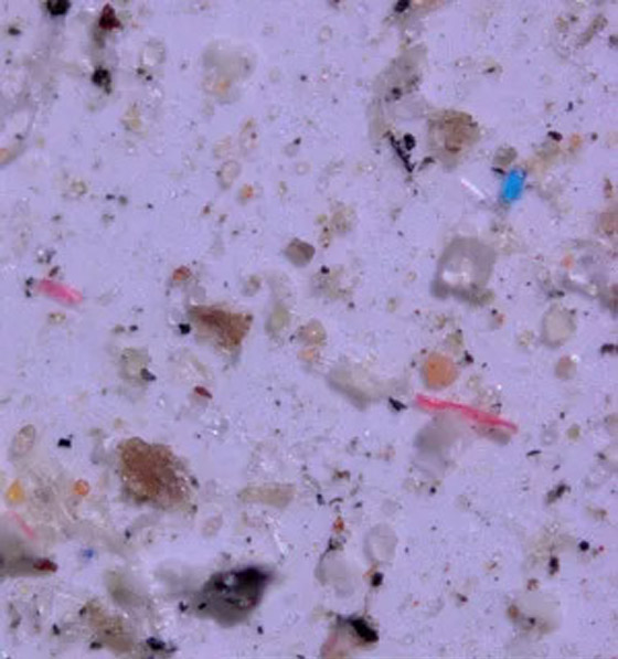 اكتشاف صادم.. دم الإنسان فيه جزيئات من البلاستيك! صورة رقم 6