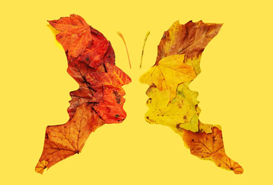 دقق جيدا.. ماذا ترى في هذه الصورة؟ صورة رقم 1