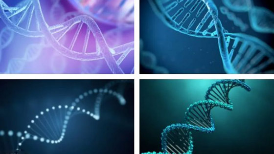 اختراق طبي جديد.. علماء ينشرون أول خريطة كاملة للجينوم البشري صورة رقم 4 اختراق طبي جديد.. علماء ينشرون أول خريطة كاملة للجينوم البشري صورة رقم 4